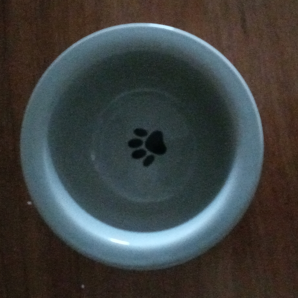 Dog bowl